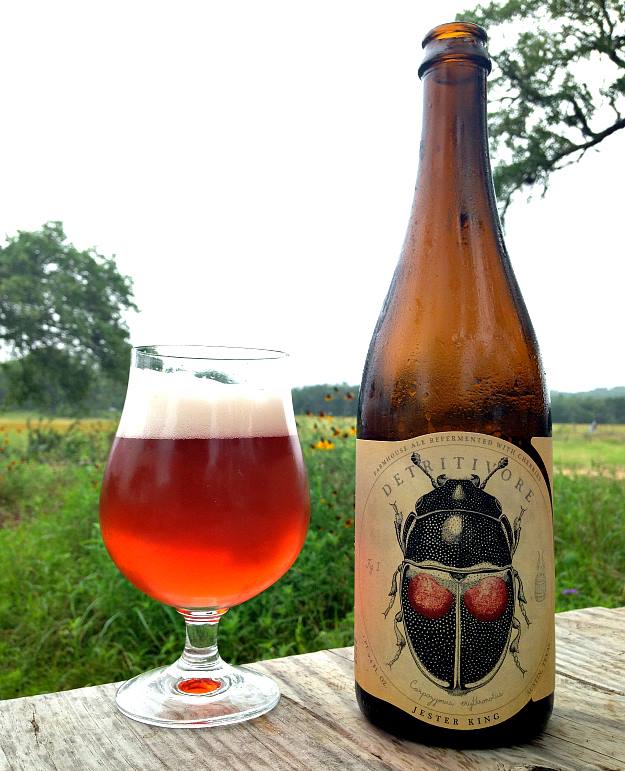 Best Beer Label Designs