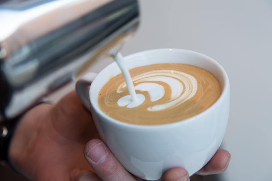 IPSENTO COFFEE: Chicago’s Ultimate Coffee Experience